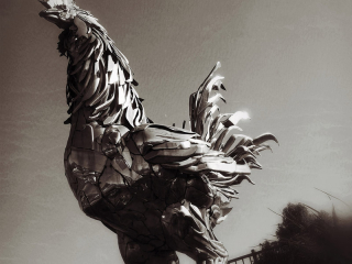 Americana Rooster - Near Fair Oaks - iPhone