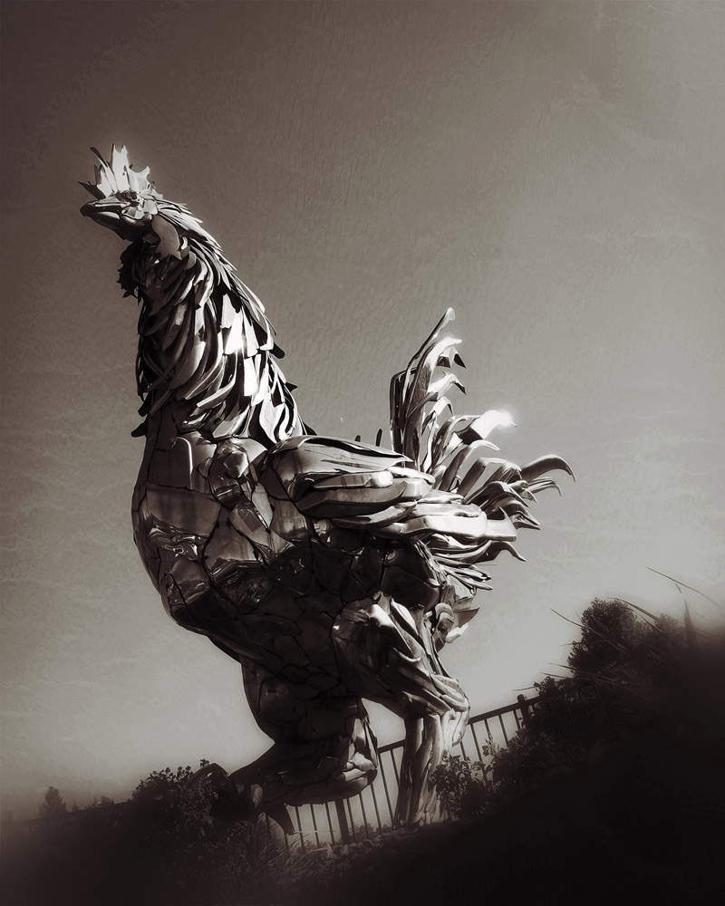 Americana Rooster - Near Fair Oaks - iPhone Americana Rooster - Near Fair Oaks - iPhone
