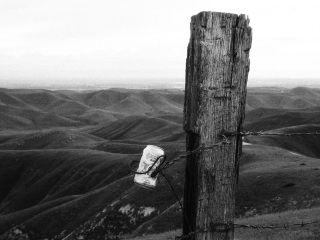 Breckenridge Road - Film