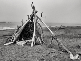 Driftwood Shelter - Cambria