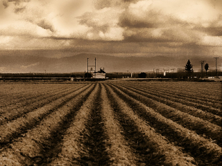 Furrows - Cawelo - Film - 1977