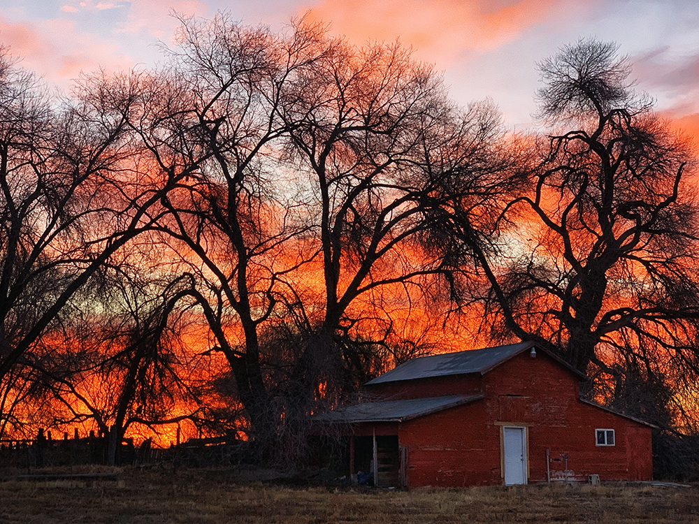 Barn At Sunrise - Nampa Barn At Sunrise - Nampa