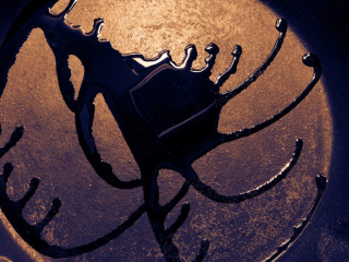 Cast Iron Skillet w/Olive Oil - iPhone