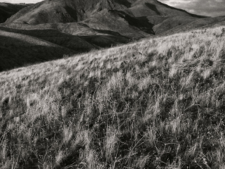 Out West - Breckenridge Mountain