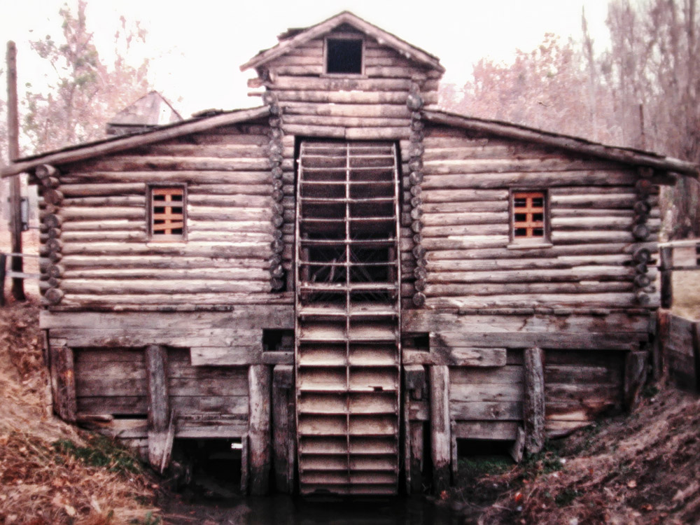 Wheelhouse at Hart Park - Film - 1981 Wheelhouse at Hart Park - Film - 1981